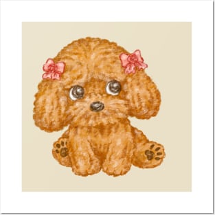Toy poodle wearing a ribbon looks up Posters and Art